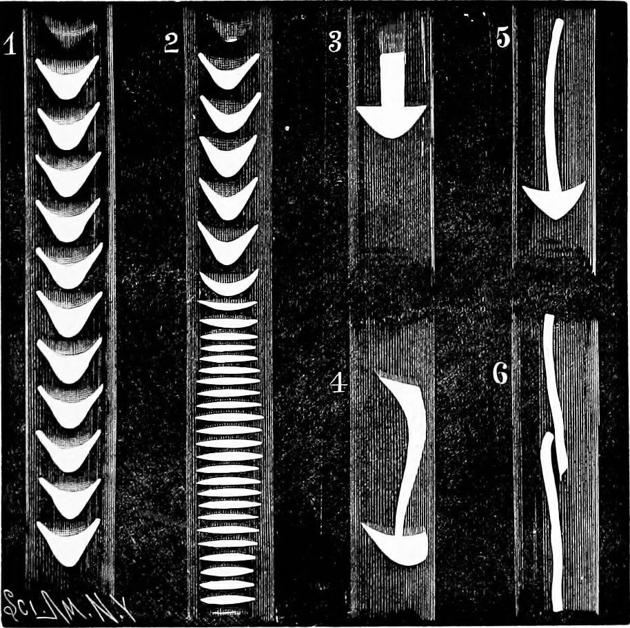 An illustration from Experimental science. Elementary, practical and experimental physics, 1890, leaf 594