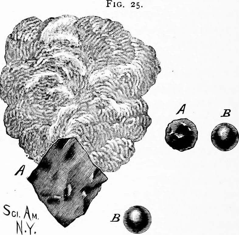 An illustration from Experimental science. Elementary, practical and experimental physics, 1890, leaf 61