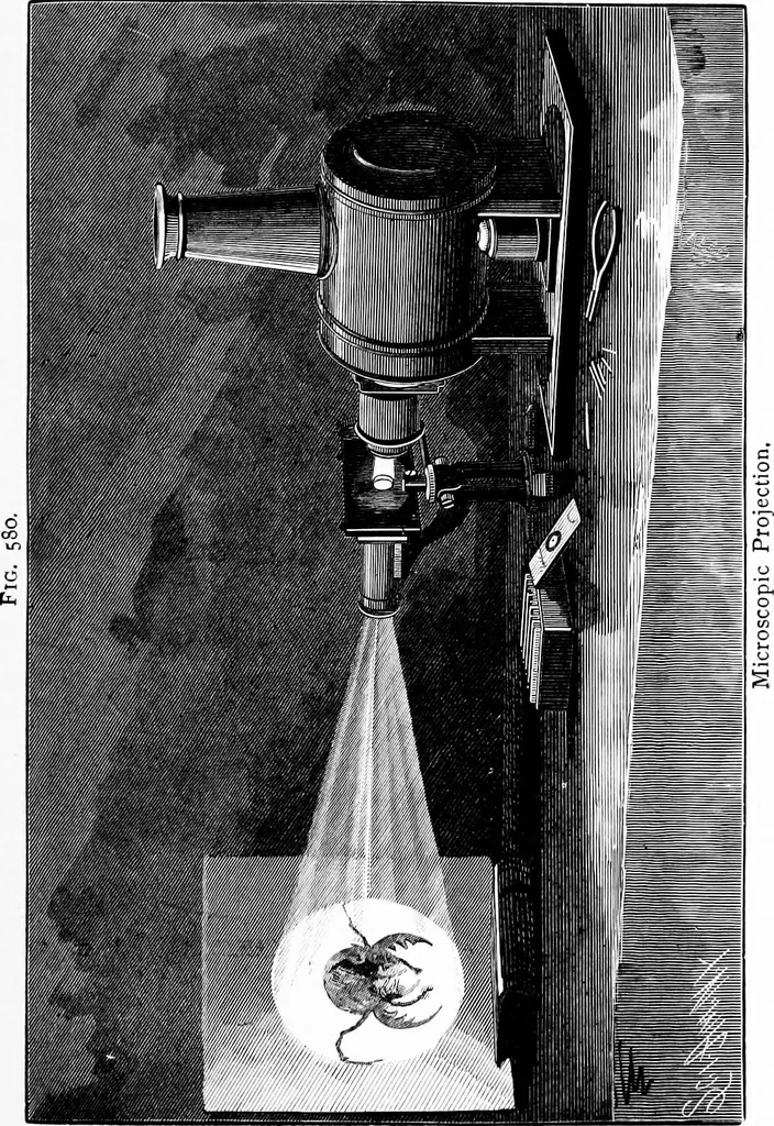 An illustration from Experimental science. Elementary, practical and experimental physics, 1890, leaf 630