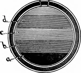 An illustration from Experimental science. Elementary, practical and experimental physics, 1890, leaf 645