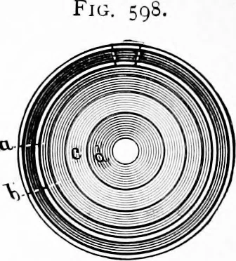 An illustration from Experimental science. Elementary, practical and experimental physics, 1890, leaf 645