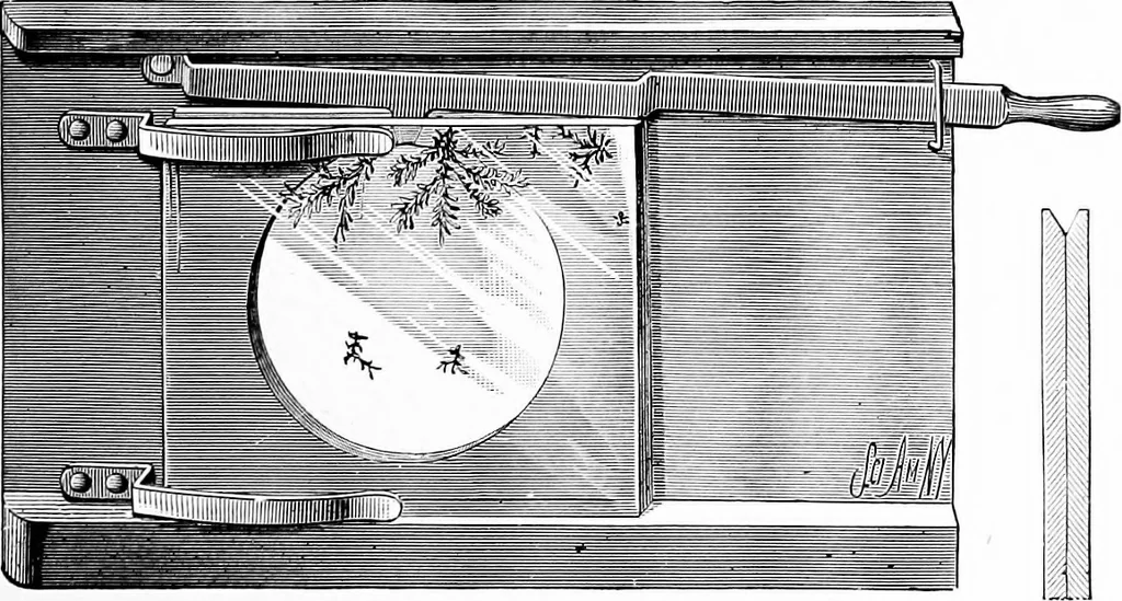 An illustration from Experimental science. Elementary, practical and experimental physics, 1890, leaf 646