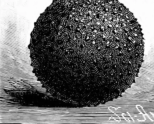 An illustration from Experimental science. Elementary, practical and experimental physics, 1890, leaf 694