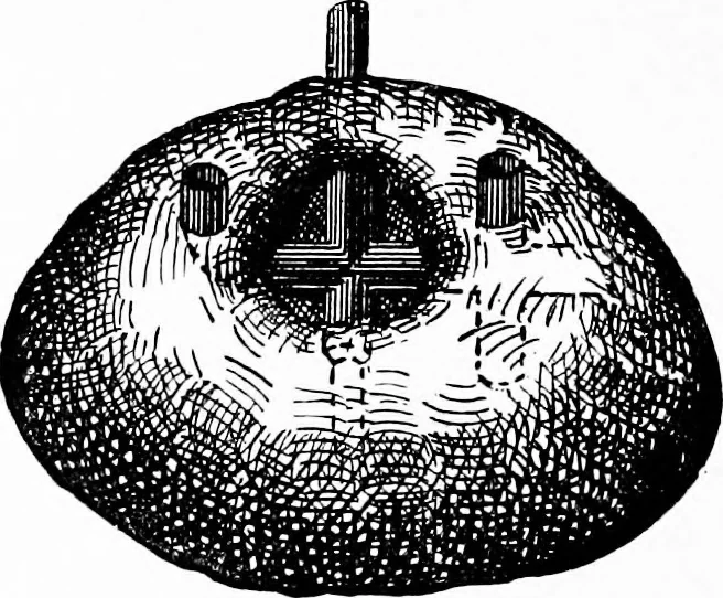 An illustration from Experimental science. Elementary, practical and experimental physics, 1890, leaf 713