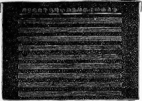 An illustration from Experimental science. Elementary, practical and experimental physics, 1890, leaf 730