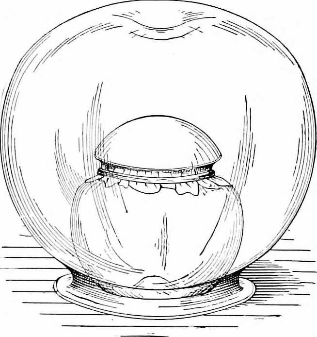 An illustration from Experimental science. Elementary, practical and experimental physics, 1890, leaf 93