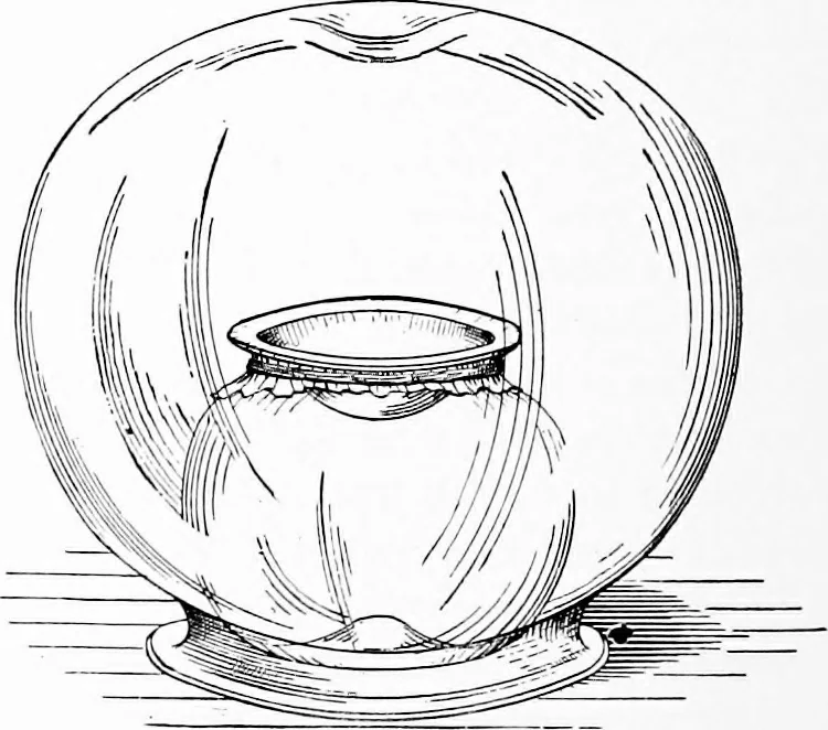An illustration from Experimental science. Elementary, practical and experimental physics, 1890, leaf 93