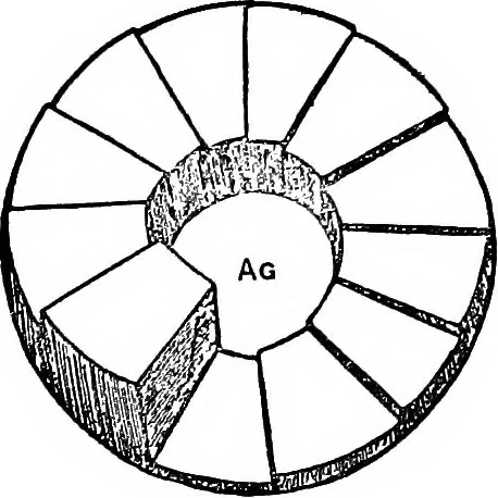 An illustration from X rays, 1918, leaf 136