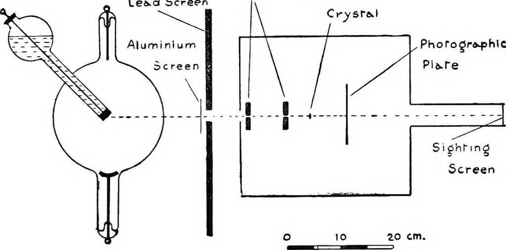 An illustration from X rays, 1918, leaf 227