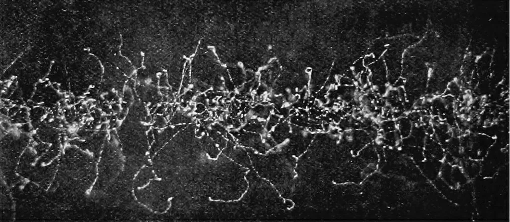 An illustration from X rays, 1918, leaf 9