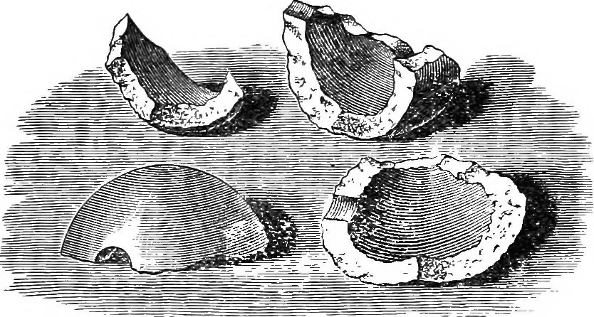An illustration from Heat, a mode of motion, 1905, leaf 131