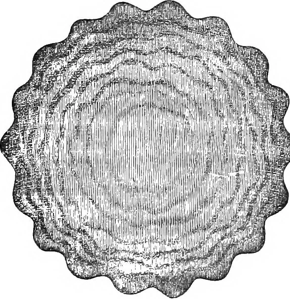 An illustration from Heat, a mode of motion, 1905, leaf 226