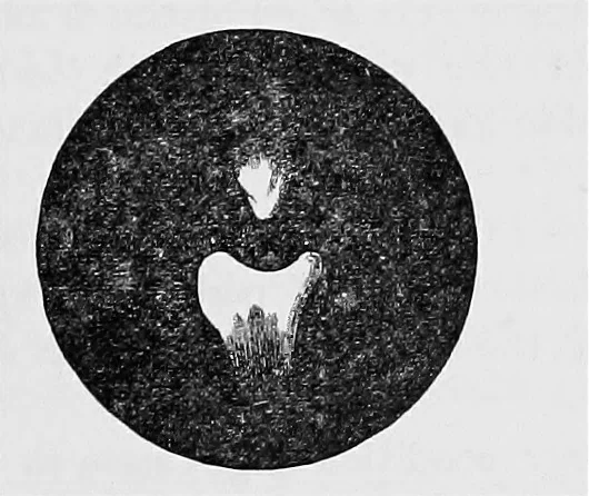 An illustration from Heat, a mode of motion, 1905, leaf 472