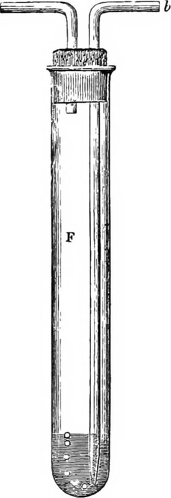 An illustration from Heat, a mode of motion, 1905, leaf 503