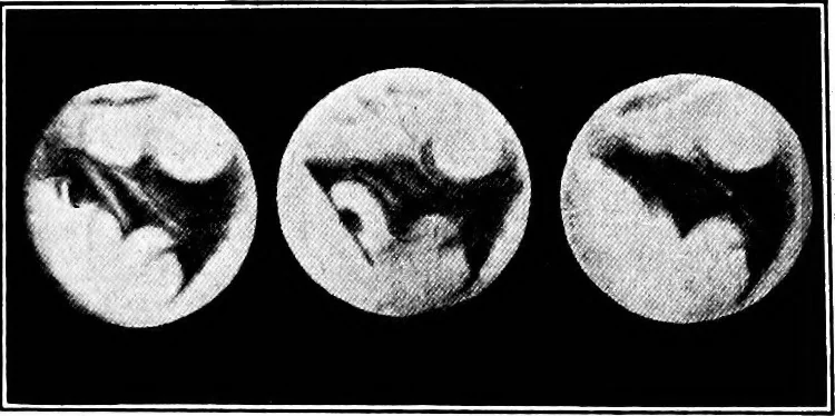 An illustration from An introduction to astronomy, 1916, leaf 324