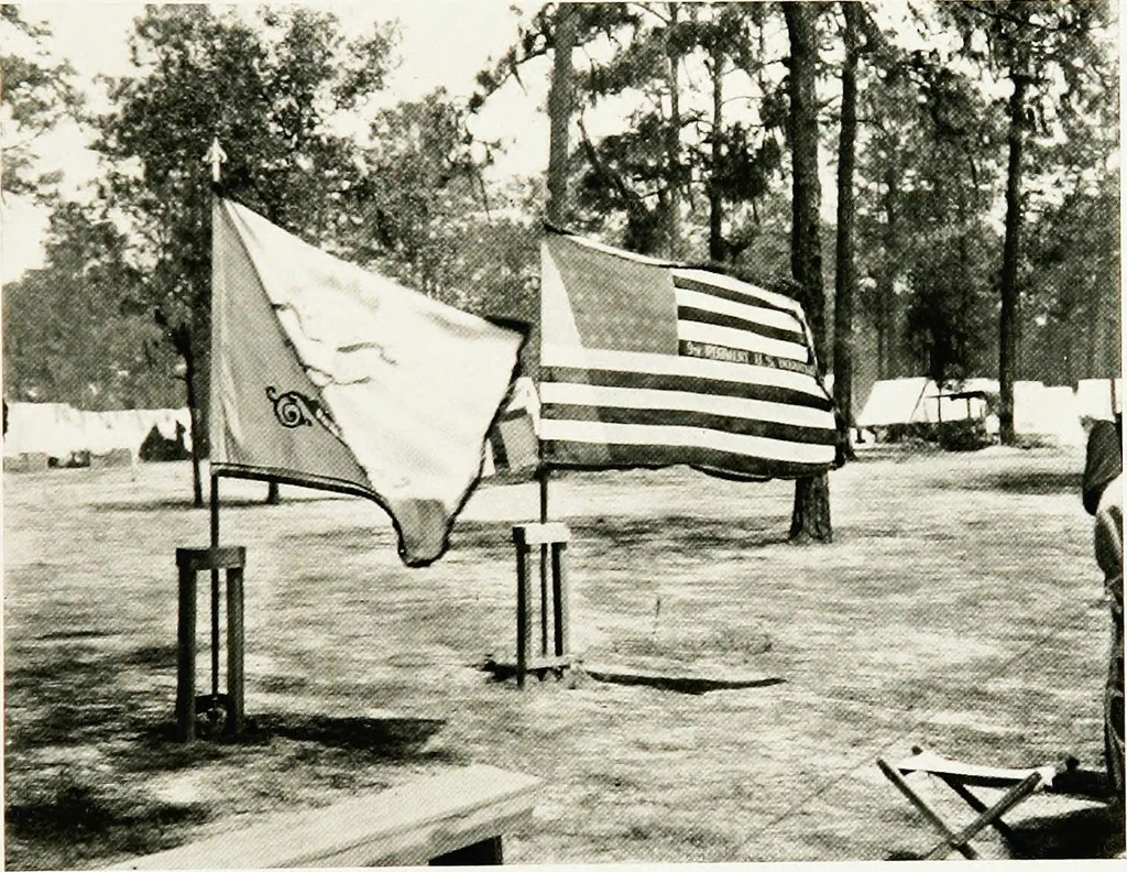 An illustration from The American flag. New York state educational department, sixth annual report--supplemental volume:, 1910, leaf 39