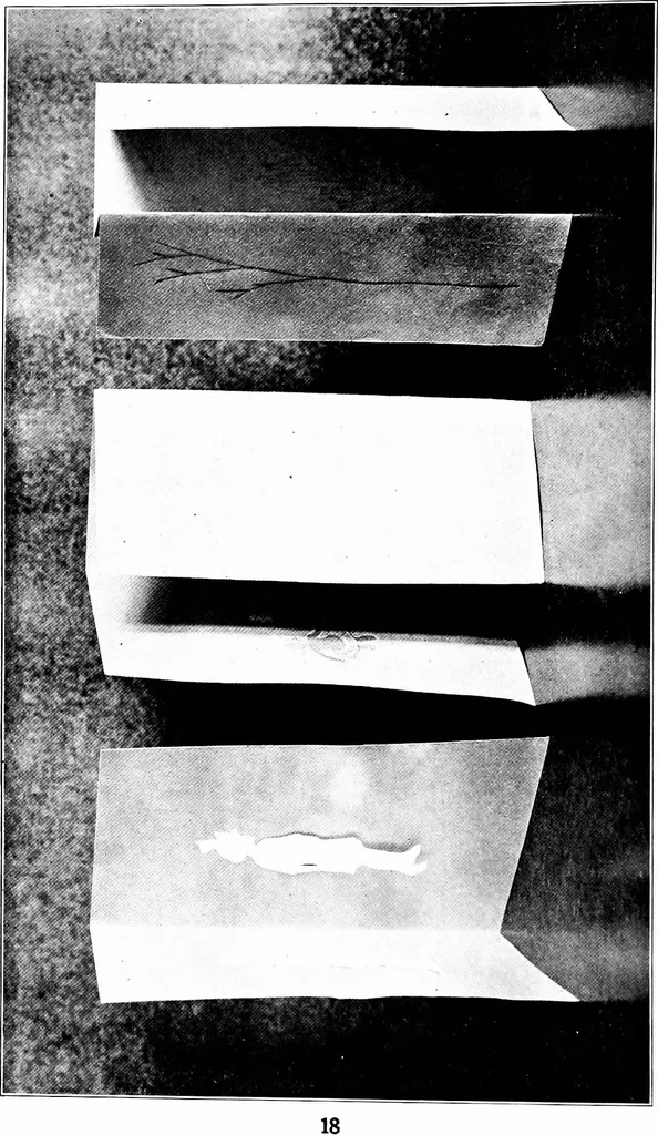 An illustration from Paper and cardboard construction. An analysis of the scope of paper and cardboard construction for primary grades of public schools ... Book problems, box problems, card problems, envelope problems, 1916, leaf 23