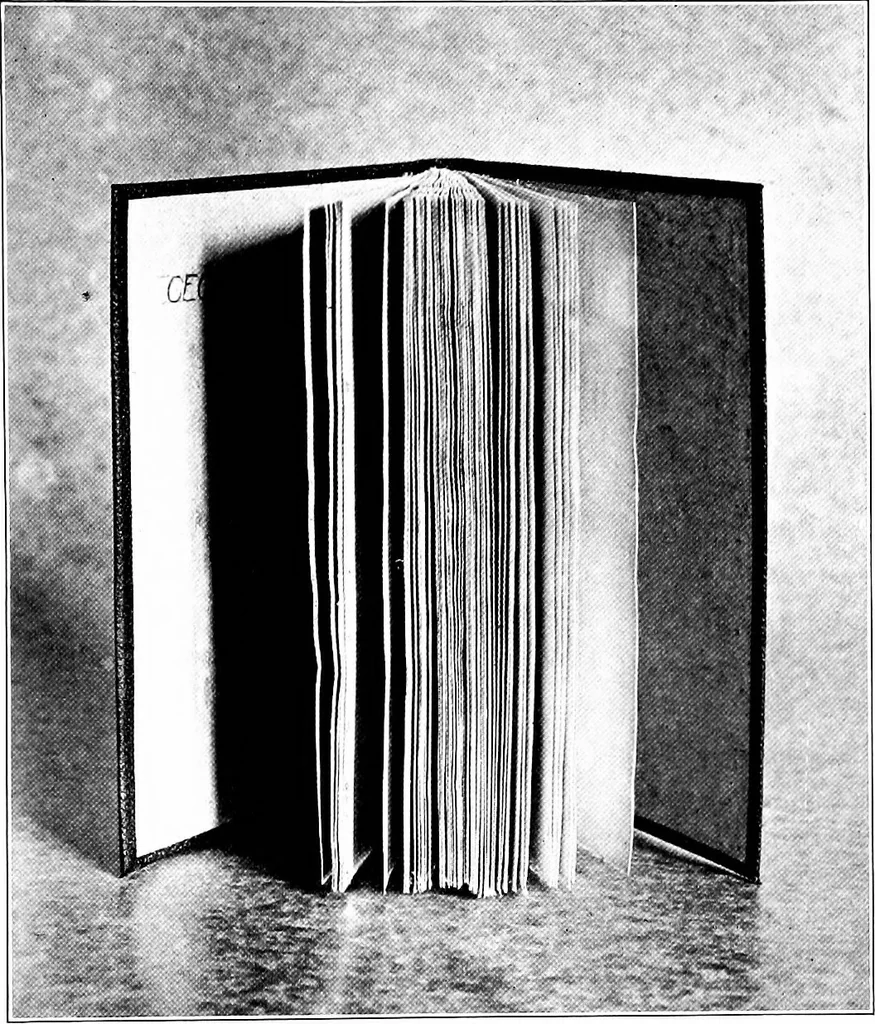 An illustration from Paper and cardboard construction. An analysis of the scope of paper and cardboard construction for primary grades of public schools ... Book problems, box problems, card problems, envelope problems, 1916, leaf 56