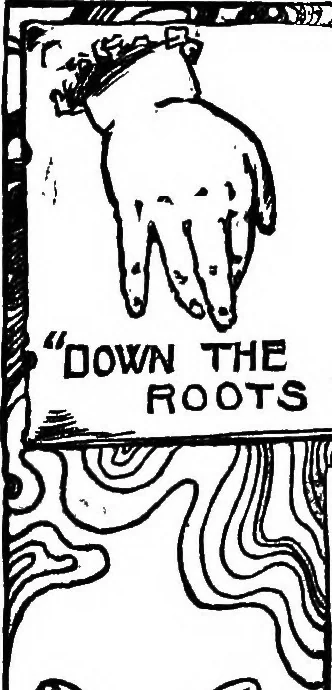 An illustration from Finger plays for nursery and kindergarten, 1921, leaf 28