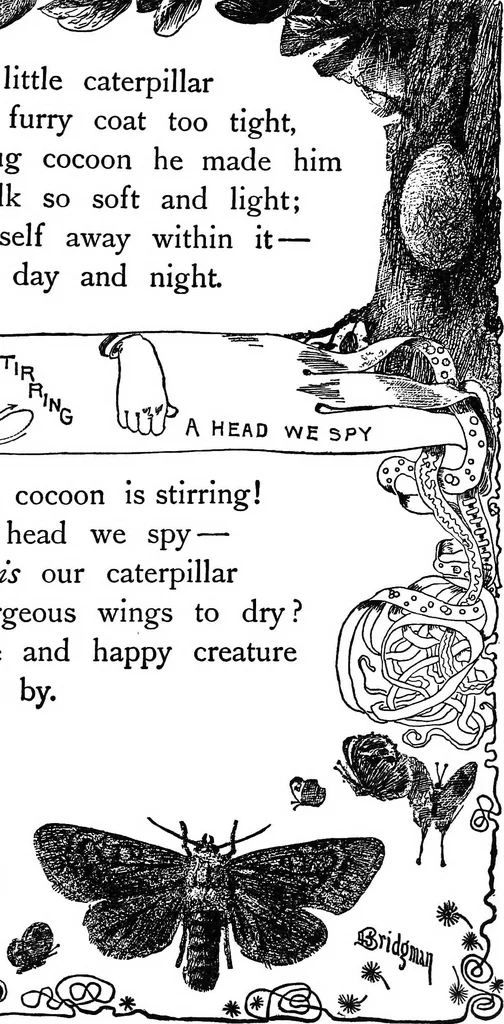 An illustration from Finger plays for nursery and kindergarten, 1921, leaf 40