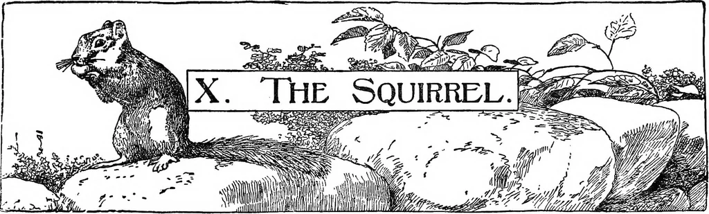 An illustration from Finger plays for nursery and kindergarten, 1921, leaf 50
