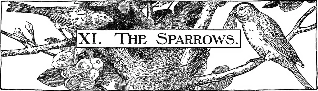 An illustration from Finger plays for nursery and kindergarten, 1921, leaf 54