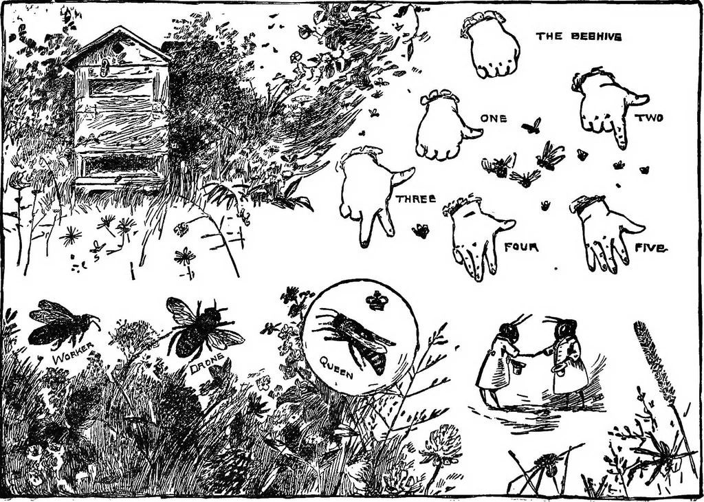 An illustration from Finger plays for nursery and kindergarten, 1921, leaf 59