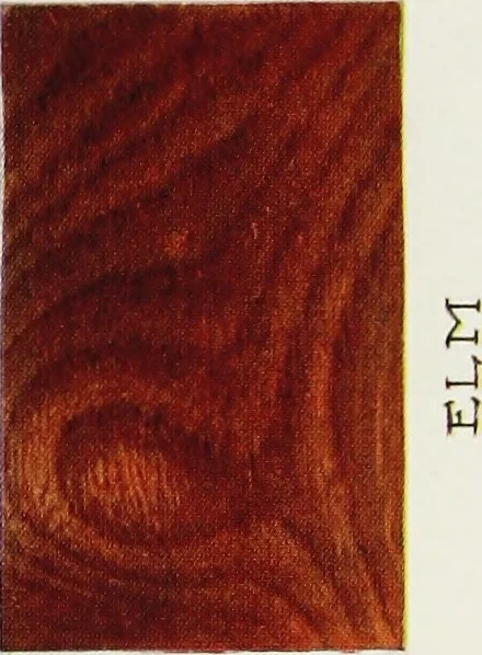 An illustration from The book of decorative furniture, its form, colour, & history, 1911, leaf 32