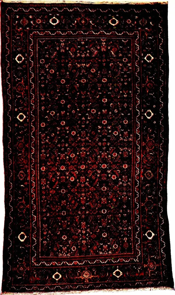 An illustration from The practical book of oriental rugs, 1920, leaf 344