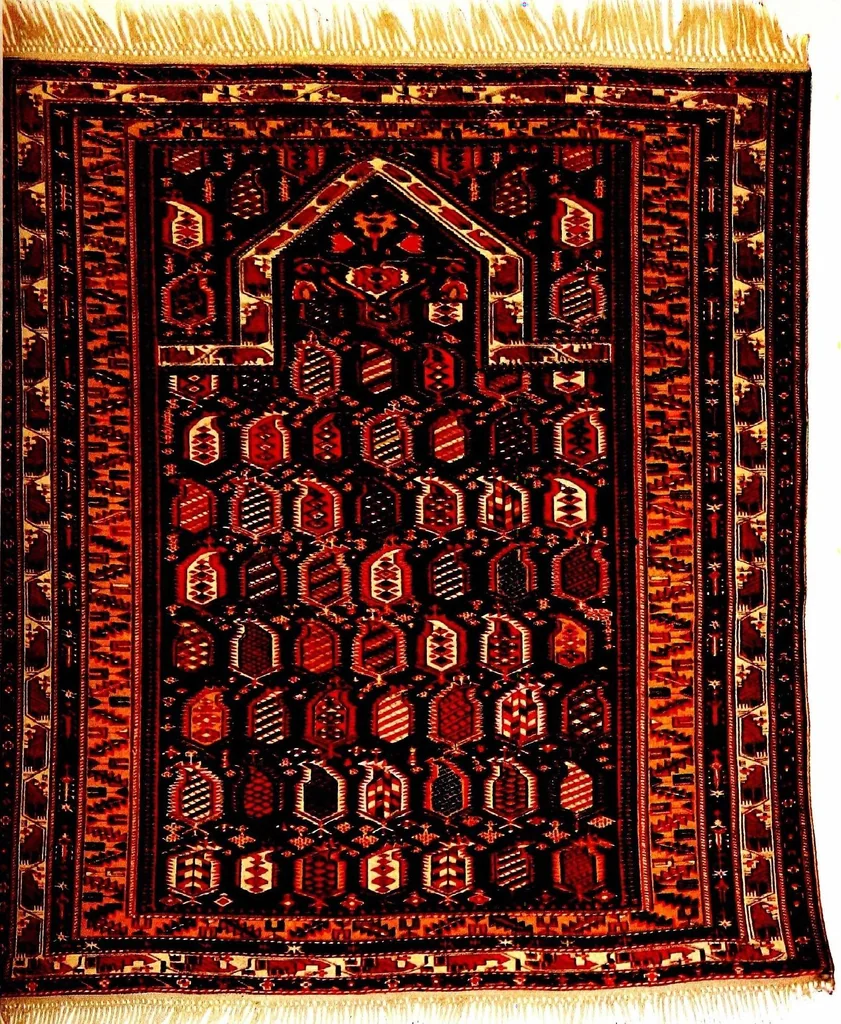 An illustration from The practical book of oriental rugs, 1920, leaf 550