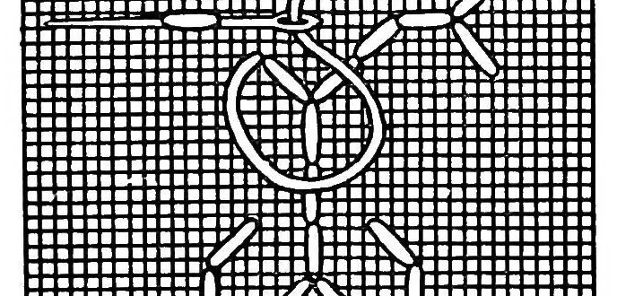 An illustration from Samplers and stitches; a handbook of the embroiderer's art, 1921, leaf 146