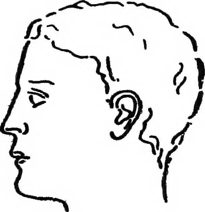 An illustration from The things which are seen; a revaluation of the visual arts, 1921, leaf 206