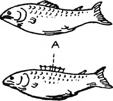An illustration from The things which are seen; a revaluation of the visual arts, 1921, leaf 208