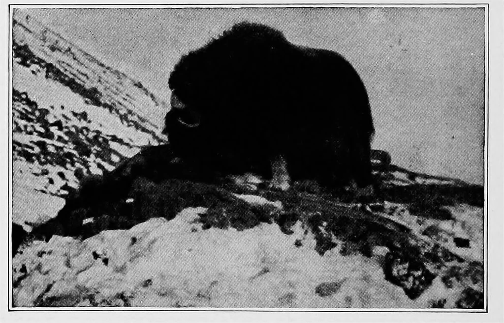 An illustration from Men of the old stone age, their environment, life and art, 1918, leaf 105