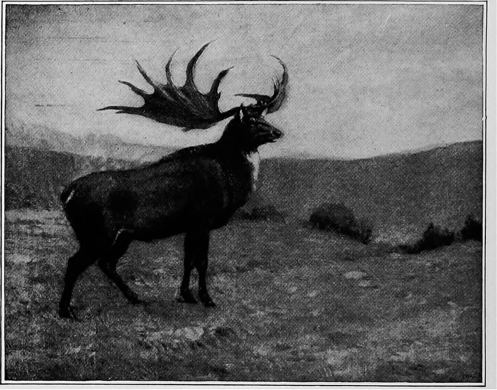 An illustration from Men of the old stone age, their environment, life and art, 1918, leaf 107