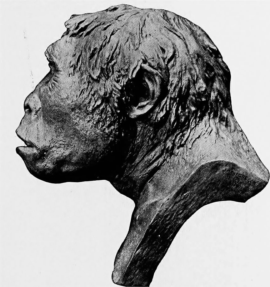An illustration from Men of the old stone age, their environment, life and art, 1918, leaf 120