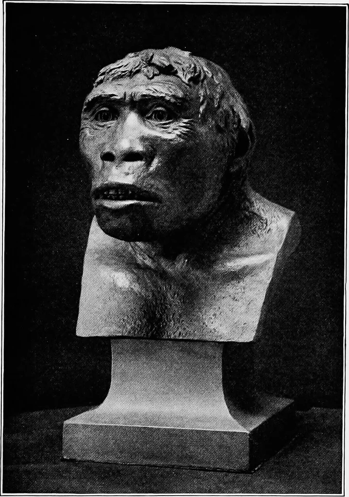 An illustration from Men of the old stone age, their environment, life and art, 1918, leaf 126