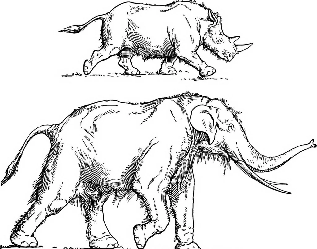 An illustration from Men of the old stone age, their environment, life and art, 1918, leaf 132