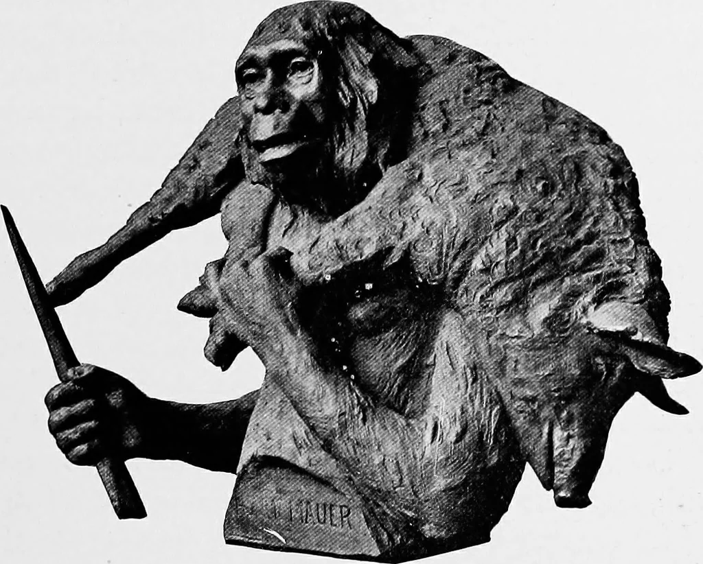 An illustration from Men of the old stone age, their environment, life and art, 1918, leaf 140