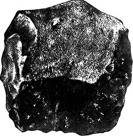 An illustration from Men of the old stone age, their environment, life and art, 1918, leaf 160