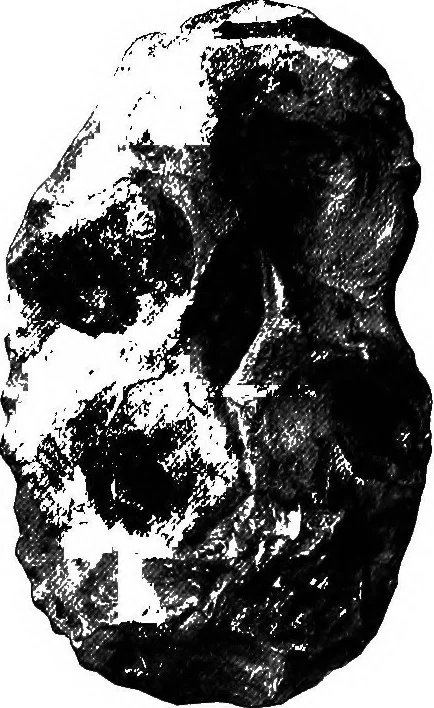 An illustration from Men of the old stone age, their environment, life and art, 1918, leaf 160