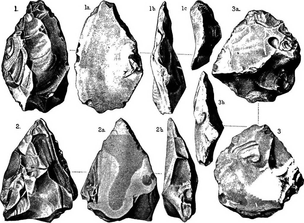 An illustration from Men of the old stone age, their environment, life and art, 1918, leaf 166