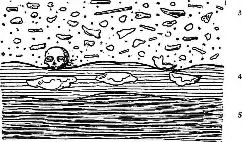 An illustration from Men of the old stone age, their environment, life and art, 1918, leaf 172