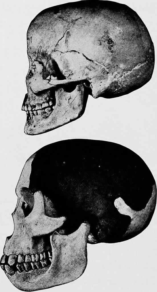 An illustration from Men of the old stone age, their environment, life and art, 1918, leaf 175