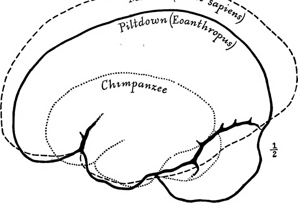 An illustration from Men of the old stone age, their environment, life and art, 1918, leaf 179