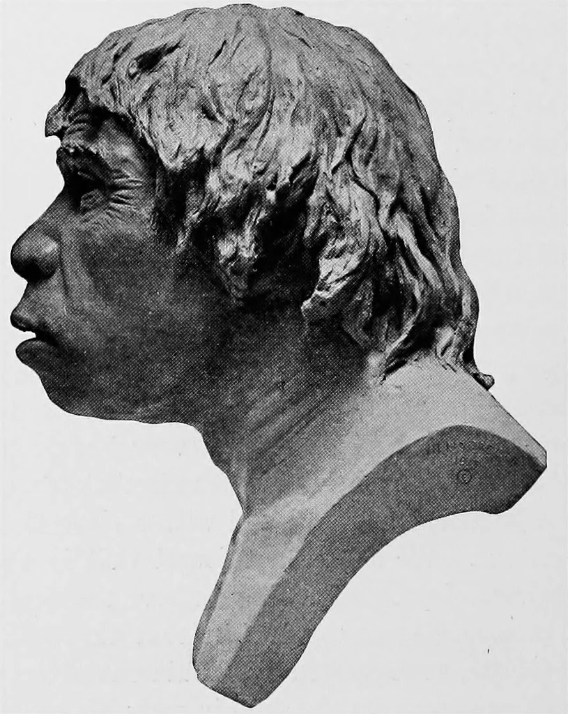 An illustration from Men of the old stone age, their environment, life and art, 1918, leaf 181