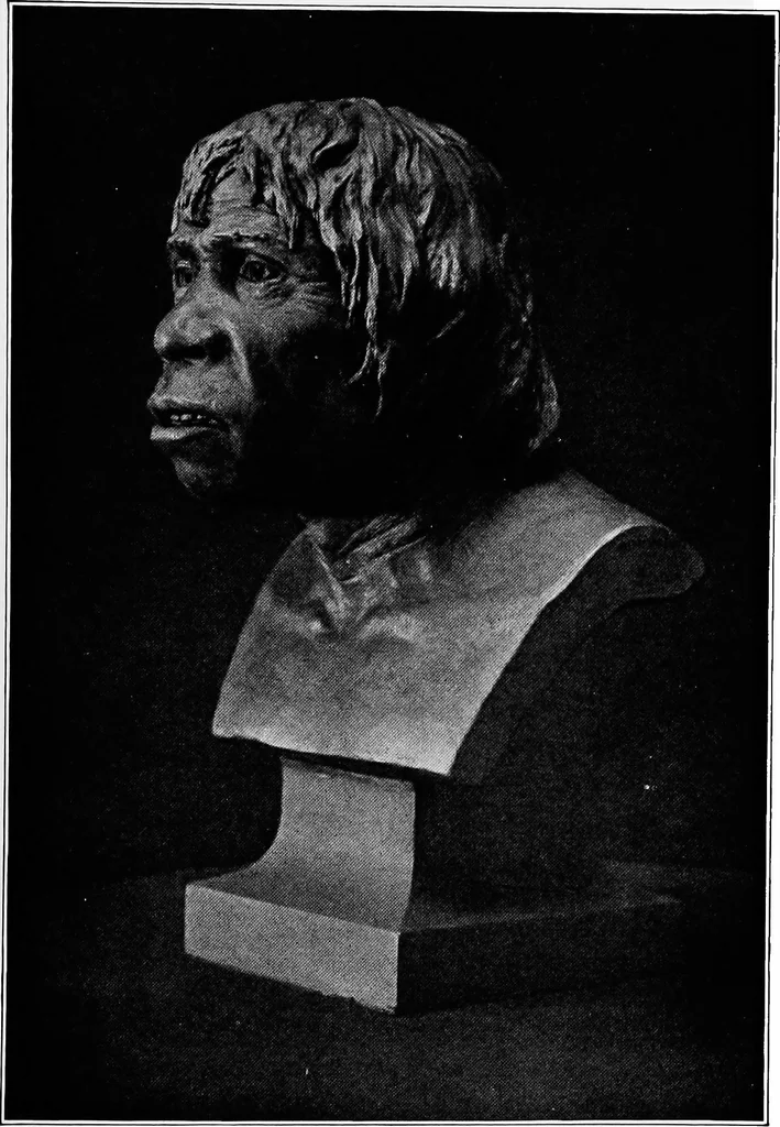 An illustration from Men of the old stone age, their environment, life and art, 1918, leaf 184