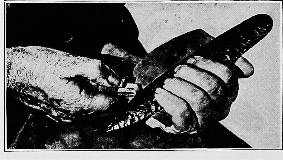 An illustration from Men of the old stone age, their environment, life and art, 1918, leaf 209
