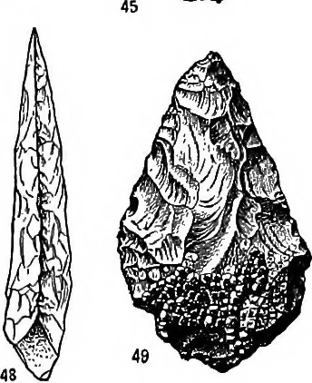 An illustration from Men of the old stone age, their environment, life and art, 1918, leaf 212