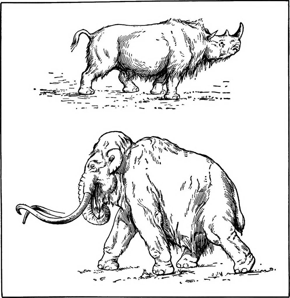 An illustration from Men of the old stone age, their environment, life and art, 1918, leaf 229